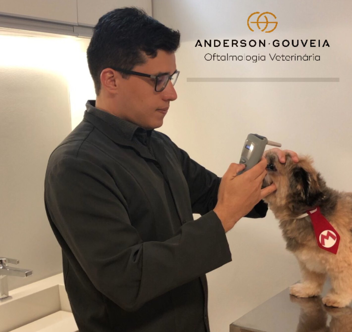 Exame oftalmológico em um cão